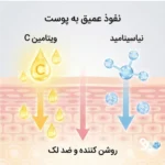 ترکیبات پد آنوا شامل ویتامین سی و نیاسینامید
