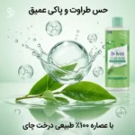 اطلاعات و مزایای میسلار واتر درخت چای برای پوست مستعد آکنه