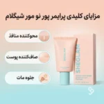 اینفوگرافیک پرایمر ضد منافذ شیگلم Pore No More